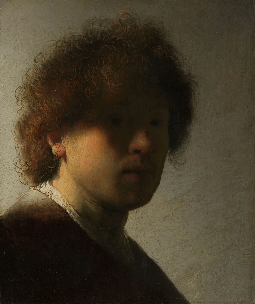 DarknessofRembrandt.thumb.PNG.8ca72e719e9bb936a007d7b7bd9f0f60.PNG