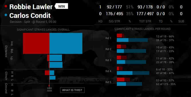 Rationalization of Muay Thai - Strike statistics